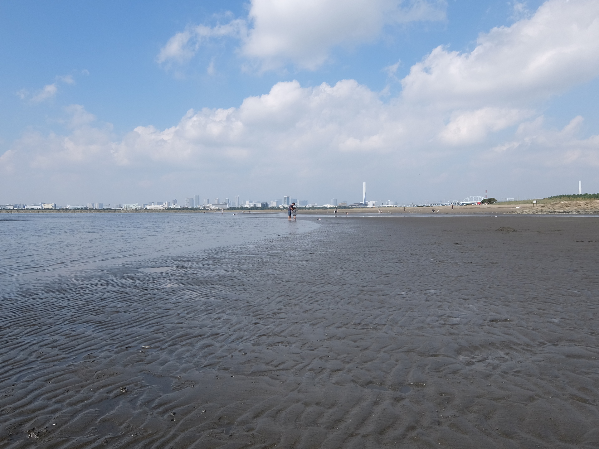 葛西臨海公園でマテ貝掘り 失敗 釣ってよきかな